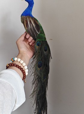 仿真孔雀节日礼q品家具摆件ins风真羽毛