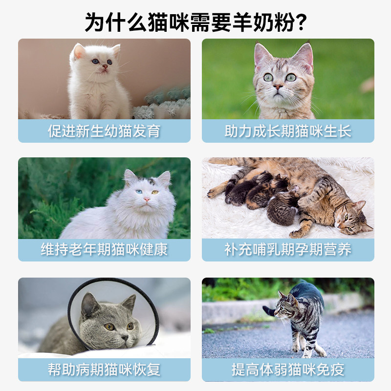 小冻羊奶粉猫咪专用新生幼猫小猫低敏营养奶粉护胃增强抵抗免疫力,淘宝优惠券,粉丝福利购,淘宝优惠卷