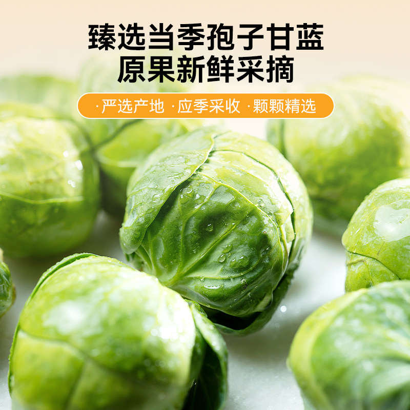 小冻狗零食冻干孢子甘蓝蔬菜小型犬幼犬狗粮拌饭训练宠物奖励零食,淘宝优惠券,粉丝福利购,淘宝优惠卷