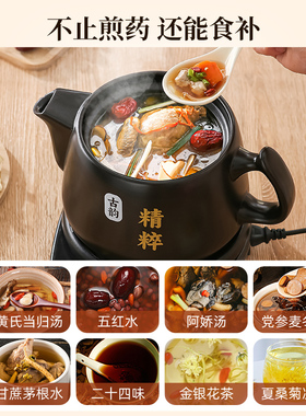 【次日达】志高十大品牌煎药壶