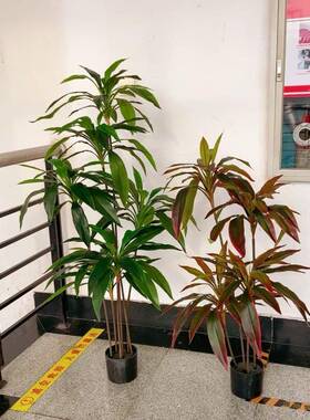 工厂店仿真盆栽天鹅绒大型落地绿植巴西木朱蕉室内装饰摆件植物