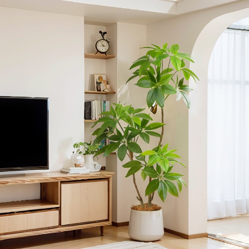 仿真绿植大叶伞盆栽客厅沙发边仿B生树大摆件落地装饰室内高级造 - 图1