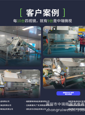 AI深度学习肉松色选机小型家用食品分选机果蔬肉干筛选设备智能