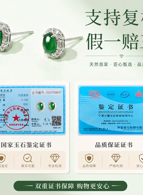 天然翡翠小众独特耳钉纯银新中式国风旗袍绿色耳饰女高级感旗舰店
