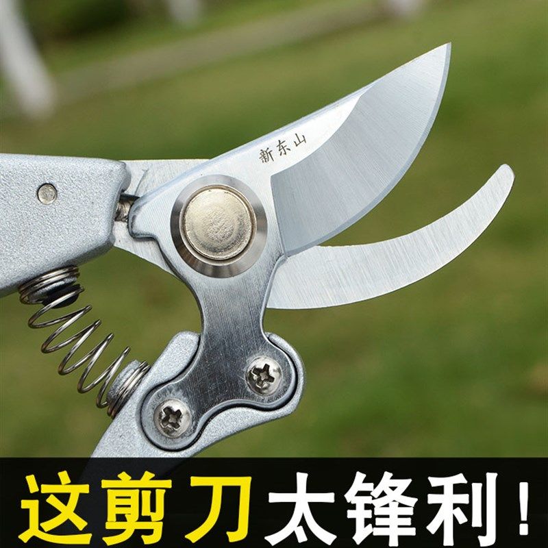 新东山 修剪树枝修枝剪修花木园林工具园艺剪刀果树剪子粗枝剪花,淘宝优惠券,粉丝福利购,淘宝优惠卷