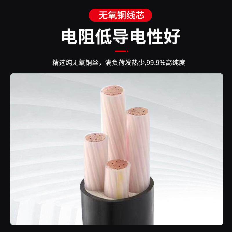 电缆线国标铜芯电线YJV2 3 4 5芯6 10 16平方充电桩专用电缆户外 - 图2