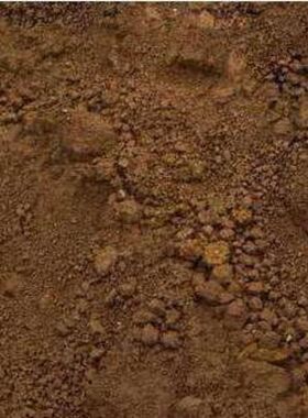 龙王土龙庭土土壤正宗正品高级大师推荐风水师精准定位保真包通用