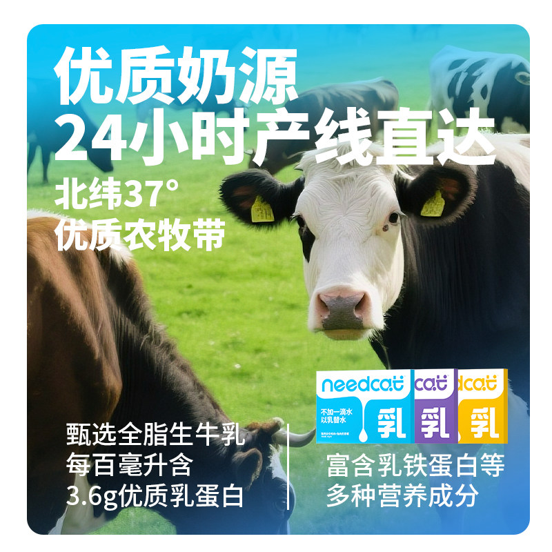 needcat猫主食罐餐盒迷你成幼猫营养补水猫条猫饭主粮湿粮小鸟胃,淘宝优惠券,粉丝福利购,淘宝优惠卷