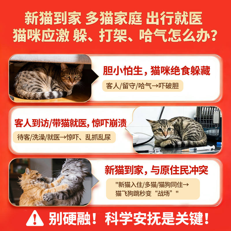 商品缩略图 2