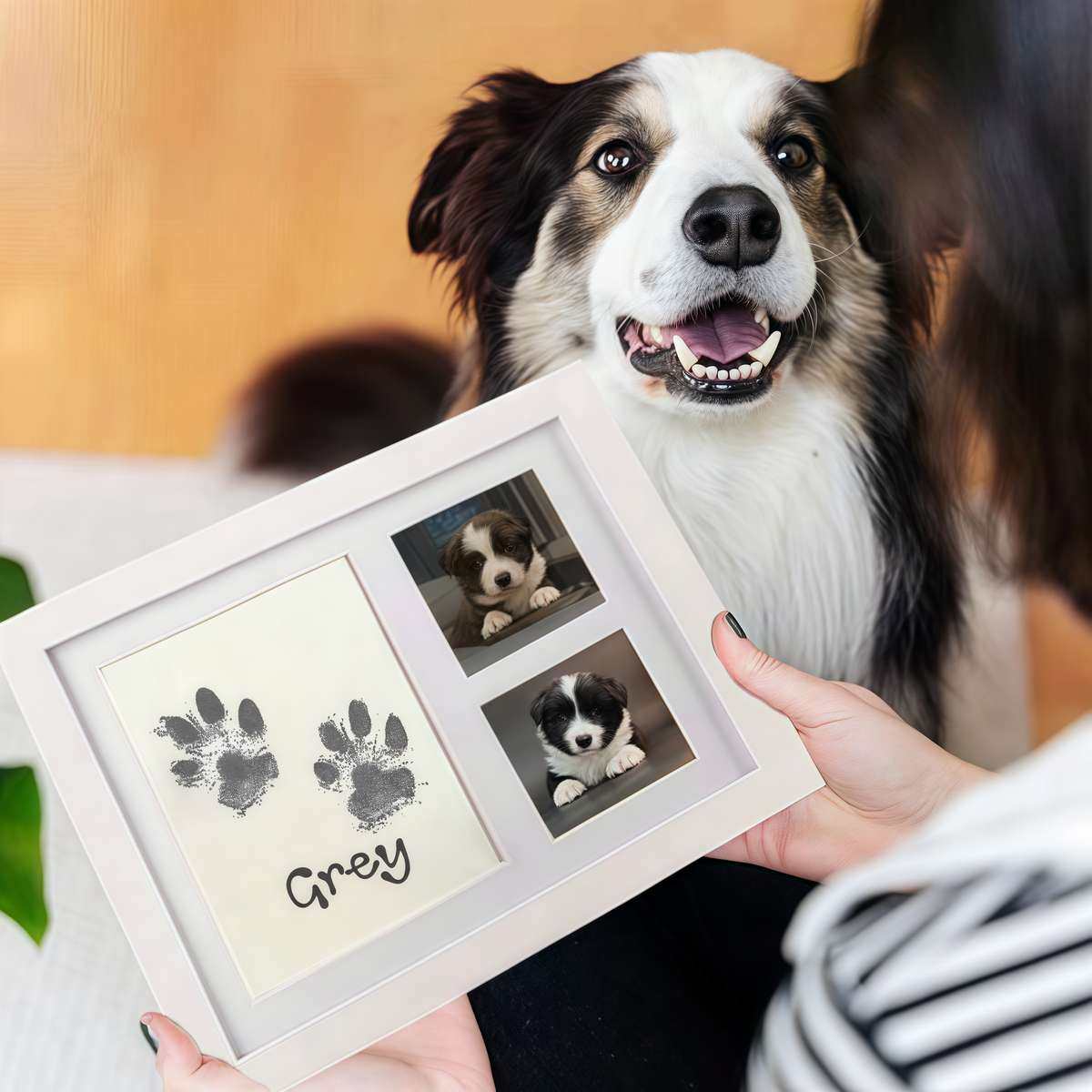 宠物爪印纪念相框猫咪手脚印留念宠物印泥狗狗爪印相框足印印章,淘宝优惠券,粉丝福利购,淘宝优惠卷