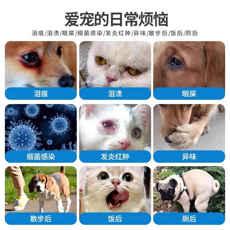 宠物湿巾猫咪狗狗专用湿纸巾清洁抑菌免洗手套擦脚屁股洗澡擦泪痕,淘宝优惠券,粉丝福利购,淘宝优惠卷