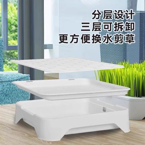 无土水培猫草盆栽种植盒懒人猫草种子育苗盘小麦化毛催吐助消化 - 图3