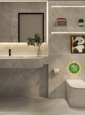 承沅堂老师推荐荷花净秽牌卫生间