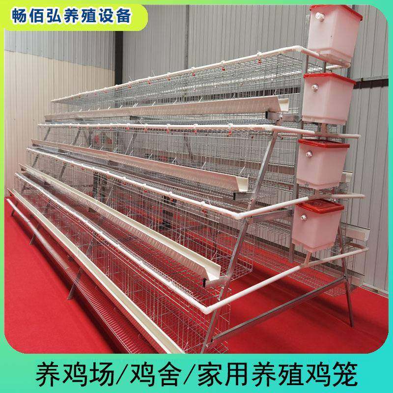 四层五门阶梯蛋鸡笼养殖厂工厂阶梯型鸡笼热镀锌材质可供外贸,淘宝优惠券,粉丝福利购,淘宝优惠卷