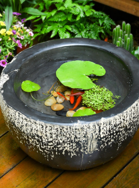 庭院水井装饰花园小鱼池水培盆景水景中式天台仿古造景鱼缸