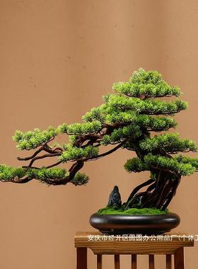 盆景绿植公盆栽65556558客厅电柜办室家居装饰迎客松玄新视中式摆