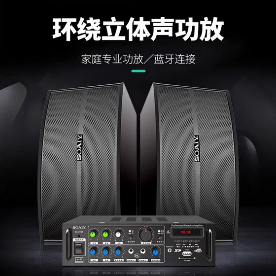索爱10寸家用K歌套装家庭影院KTV音响商用会议设备卡拉ok功放话筒