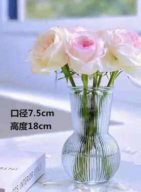 吕姆克花瓶玻璃家居桌面客厅装饰花器大口径鲜花水养插花瓶摆件53