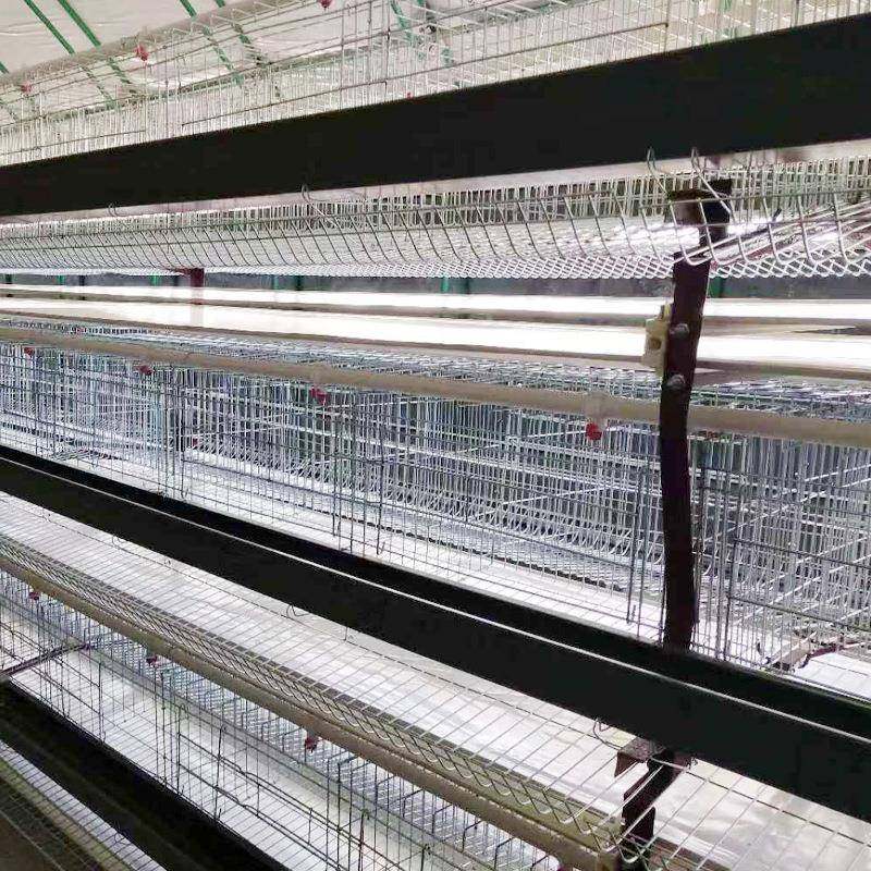 三层H型电镀锌蛋鸡笼使用寿命长自动化养殖设备阶梯式蛋鸡笼,淘宝优惠券,粉丝福利购,淘宝优惠卷