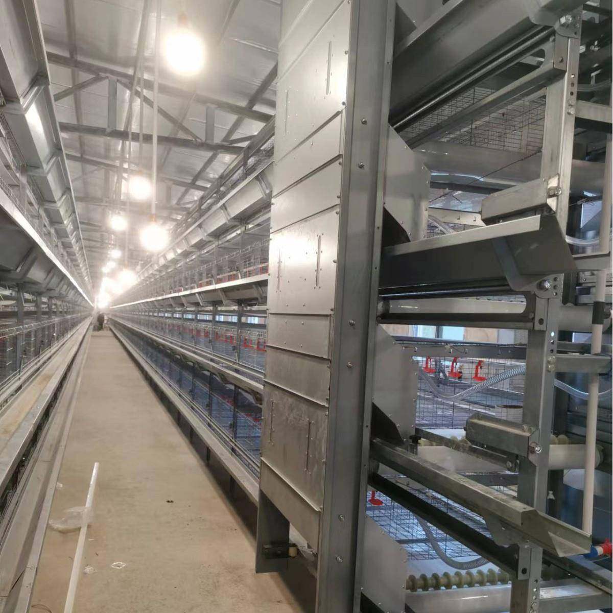 框架肉鸡笼全自动化肉鸡养殖设备热镀锌可外贸,淘宝优惠券,粉丝福利购,淘宝优惠卷