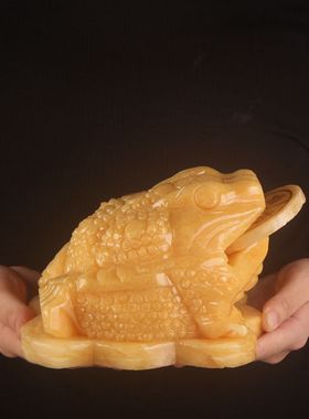 天然黄玉金蟾招财摆件三足蟾蜍店铺D开业玉石客厅酒柜办公桌装饰