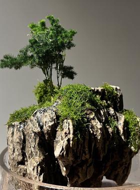 中式陶瓷云竹吸水石盆栽天空之城微景观鱼缸石头造景禅意装饰摆件