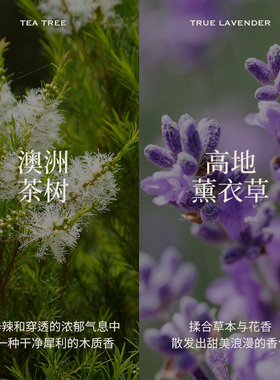 芳野叙百搭双星组合茶树精油真正薰衣草单方天然植物按摩扩香薰