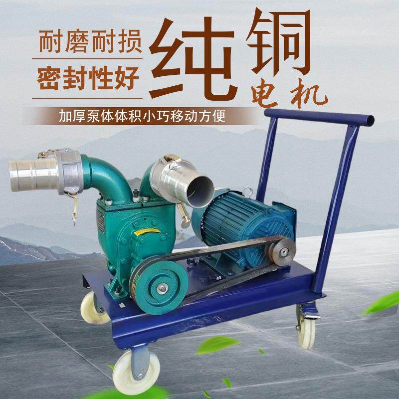 河道下水道小型吸污泵养殖场鸡鸭猪牛抽粪泵手推式电动淤泥清理机,淘宝优惠券,粉丝福利购,淘宝优惠卷