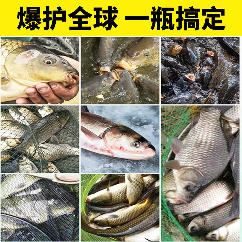 国良一坑欢手工调配鱼饵高效钓鱼饵料黑坑野钓竞技水库鲫鲤淡水鱼,淘宝优惠券,粉丝福利购,淘宝优惠卷