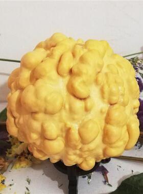 精品兰州特产天然疙瘩葫芦文玩手把异形微雕收藏烙画工艺品摆件
