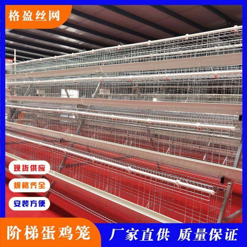 四层5门蛋鸡笼工厂直供阶梯型鸡笼热镀锌材质可供外贸,淘宝优惠券,粉丝福利购,淘宝优惠卷