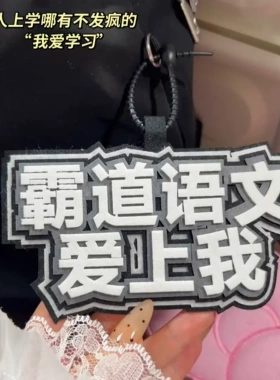 霸道语文爱上我挂件不织布包包