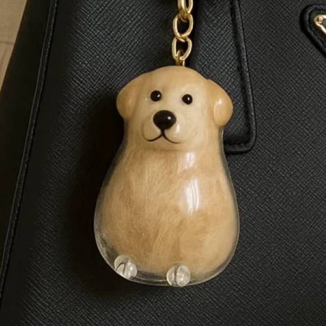 Transparent puppy hair storage box hanging tampon
