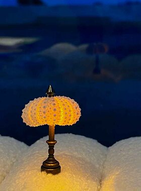 海胆灯复古发光海胆壳小夜灯diy桌面氛围灯卧室客厅房间装饰摆件