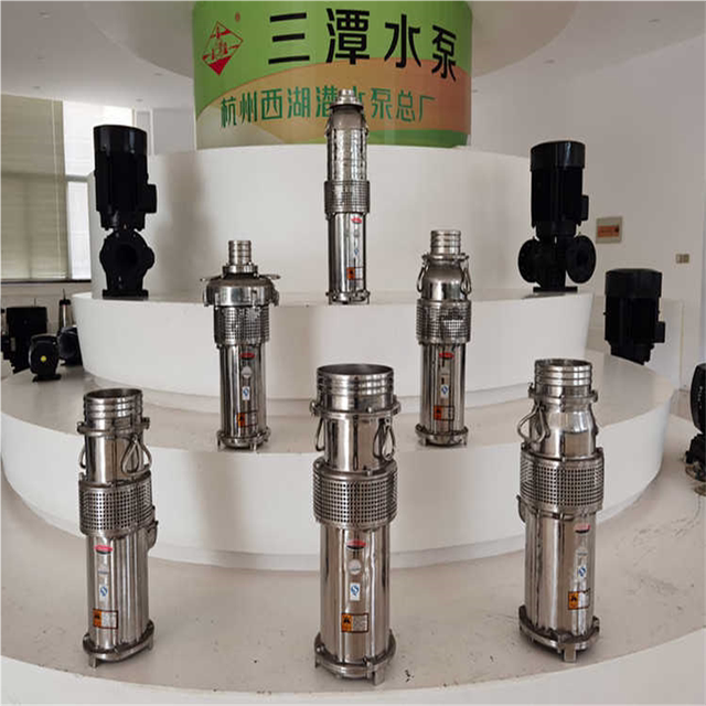 Hangzhou Xihu Submersible Pump Factory Complete Collection of Water Pump Accessories