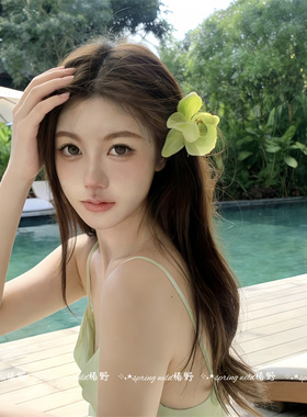 绝美氛围感鸢尾花蝴蝶兰发夹