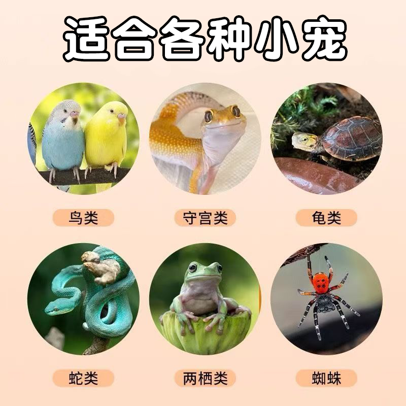 鸟笼专用温湿度计可吸可挂鹦鹉保温箱温度计高精度爬宠鱼缸电子表,淘宝优惠券,粉丝福利购,淘宝优惠卷