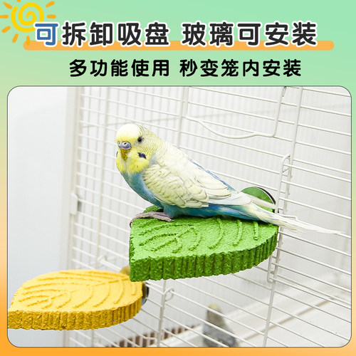 鹦鹉磨爪站杆自嗨解闷鸟玩具牡丹虎皮磨嘴爪棒吸盘站架棍鸟笼配件 - 图2
