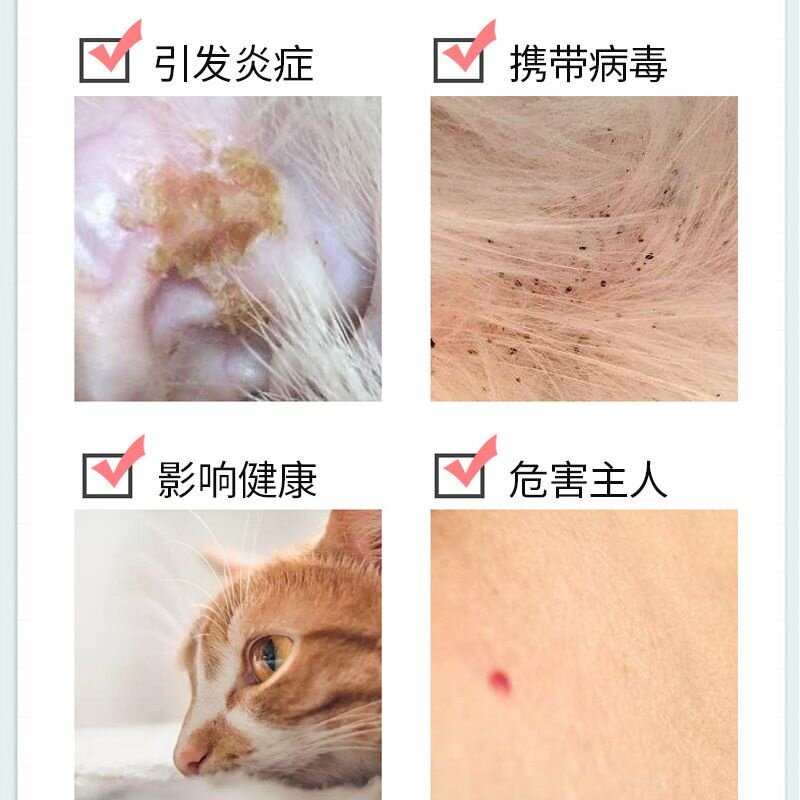 Cat and dog repellent collars, flea removal and anti-lice pet supplies