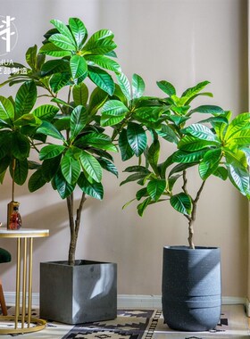 仿真绿植大型枇杷树室r内客厅高品质仿真假植物盆栽造景装饰摆件