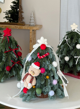 圣诞节氛围装饰诺贝松布置道具新款小众桌面小型假树可爱造型摆件