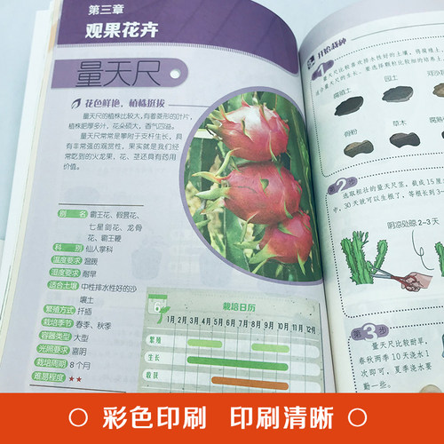 阳台种菜种花种香草园艺书植物花卉种植盆栽家庭养花知识书绿植书 - 图2