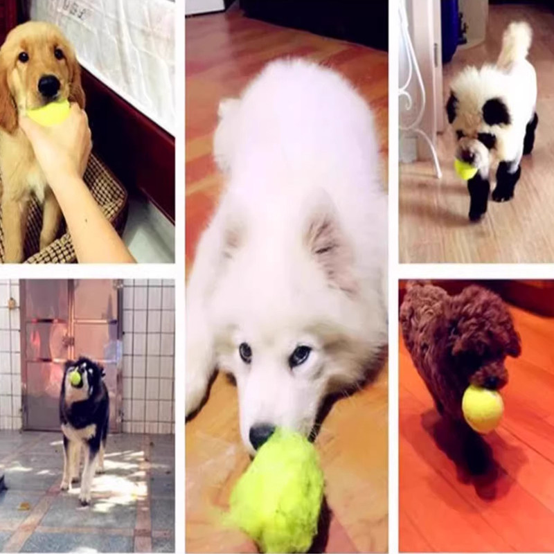 狗狗玩具球自嗨解闷神器宠物边牧金毛柯基耐咬球训练磨牙网球橡胶,淘宝优惠券,粉丝福利购,淘宝优惠卷