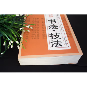 书法技法 珍藏版 正版 书籍 中国传世书法 篆书艺术 隶书艺术 楷书艺术 行书艺术 草书艺术 毛笔字帖书法的笔