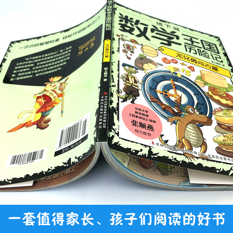 地下城数学王国历险记:龙兄勇闯古墓 培养孩子对数学兴趣的书籍