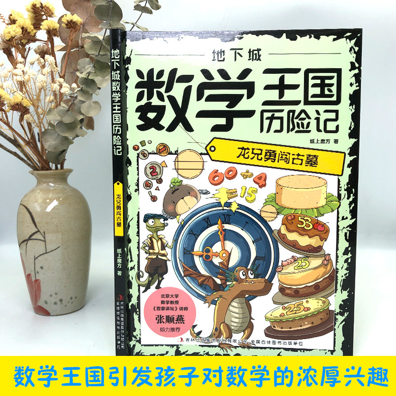 地下城数学王国历险记:龙兄勇闯古墓 培养孩子对数学兴趣的书籍