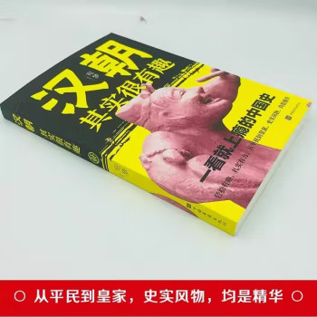 明朝汉朝清朝唐朝其实很有趣书籍中国史一读就上瘾的明朝那些事儿