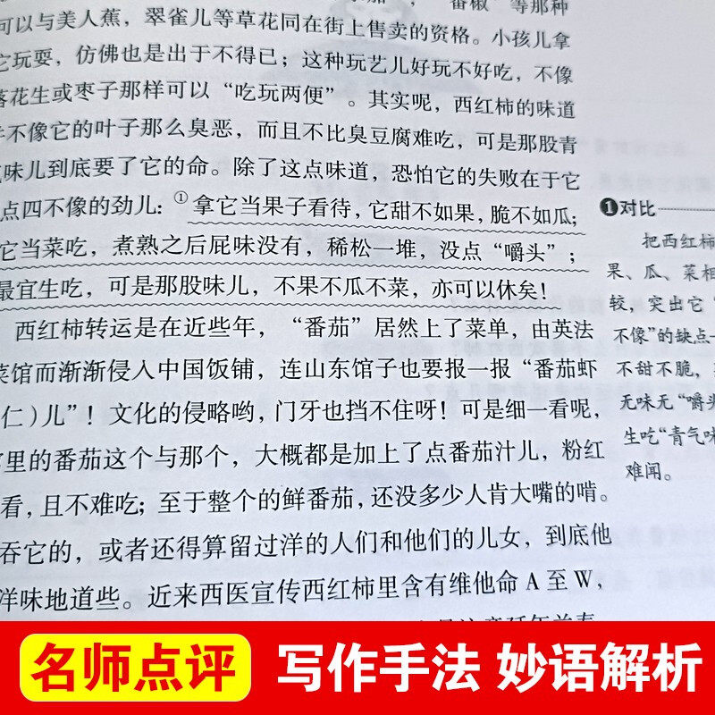 北京的春节/爱阅读中小学儿童文学名著阅读快乐读书吧 老舍作品