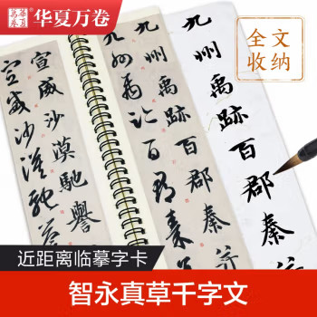 华夏万卷字帖 近距离临摹字卡 智永真草千字文字帖成人初学者草书钢笔硬笔毛笔临摹书法字帖