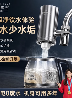 德克史蒂夫厨房龙头直饮净水器